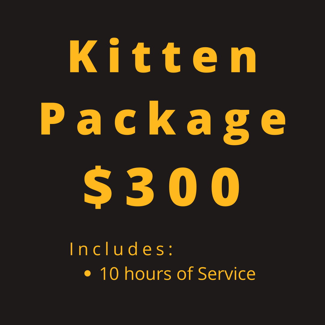 Kitten Package – Cat Lady Creates